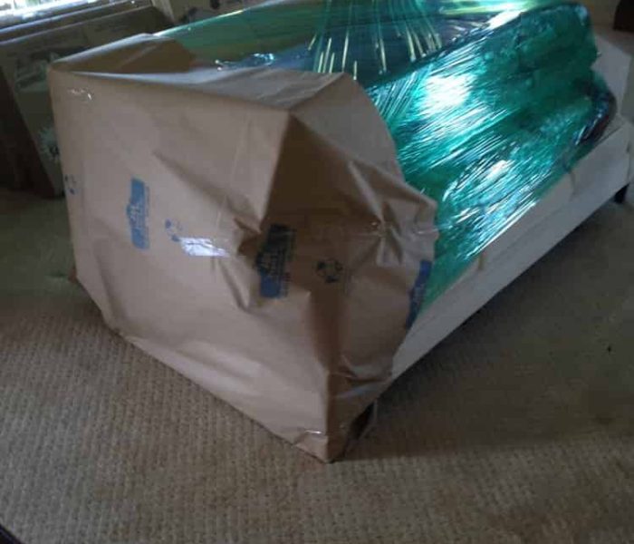 Couch's first step for protection.